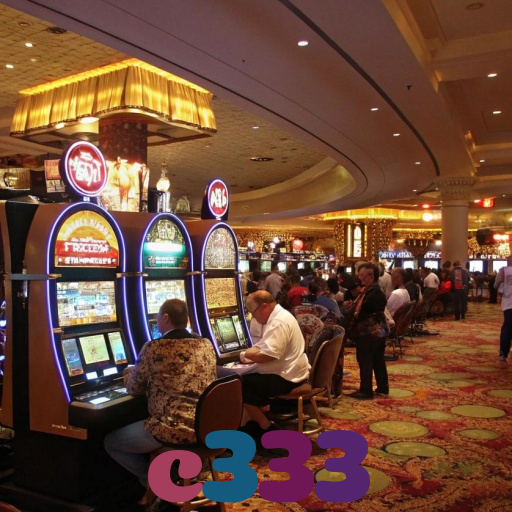 c333