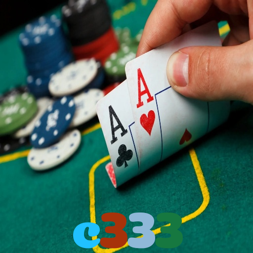 c333