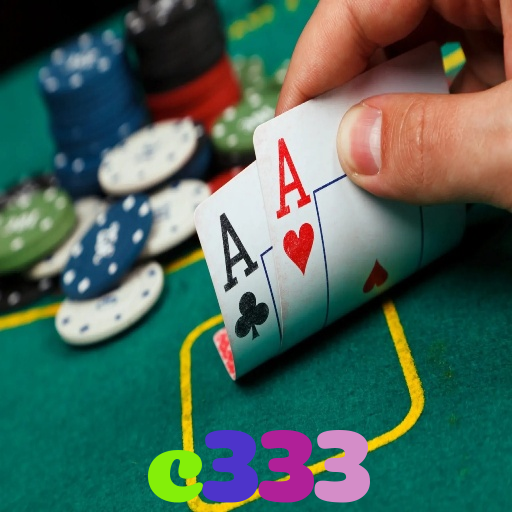 c333