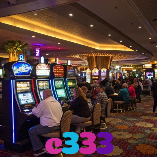 c333