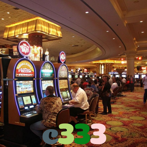 c333
