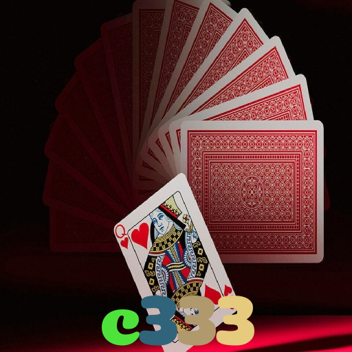 c333