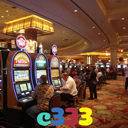 c333