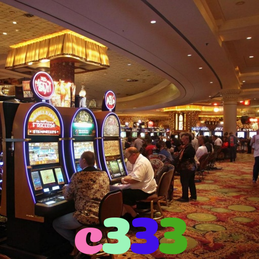 c333