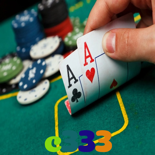 c333