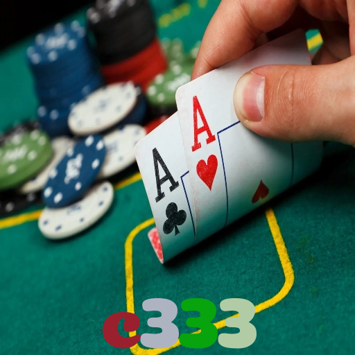 c333