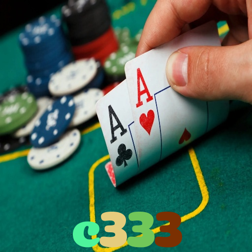 c333