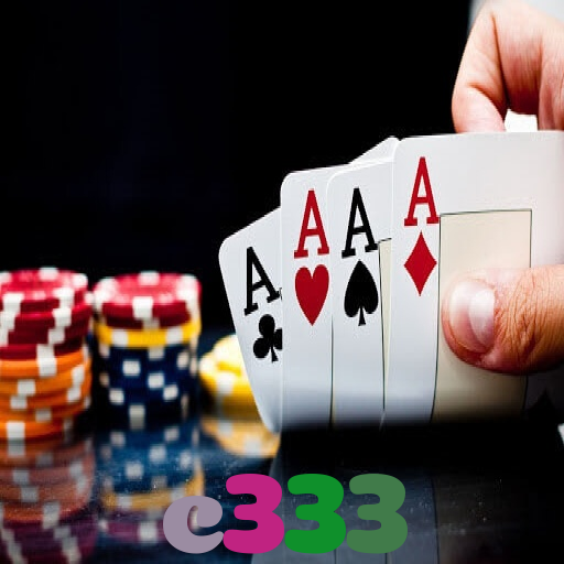 c333