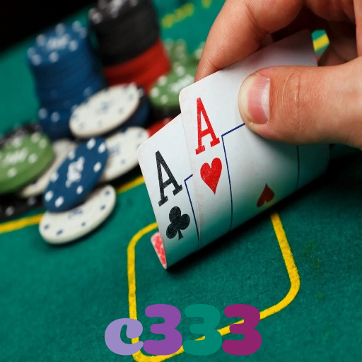 c333