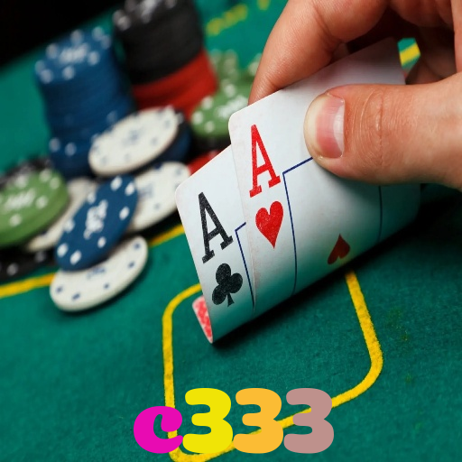 c333