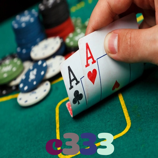 c333