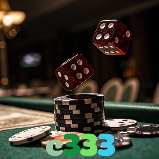 c333
