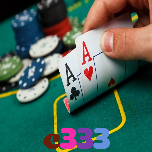 c333