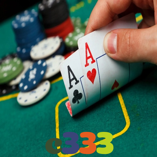 c333