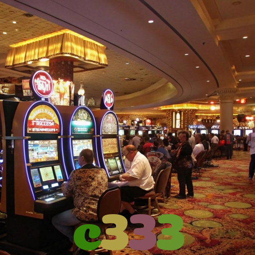 c333