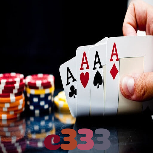 c333