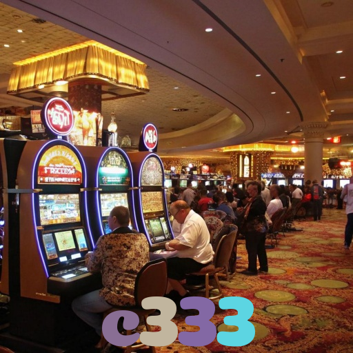 c333