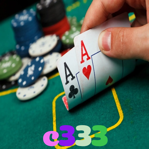 c333