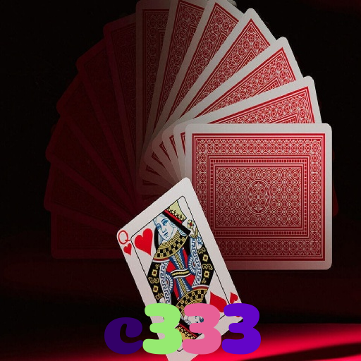 c333