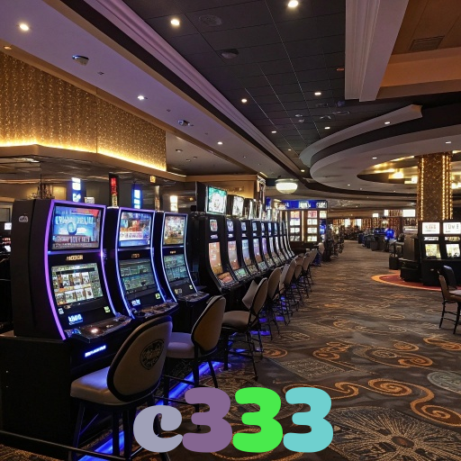 c333