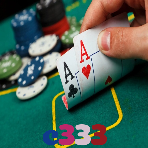 c333