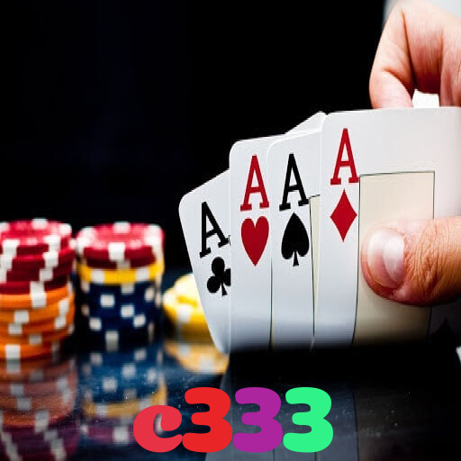c333