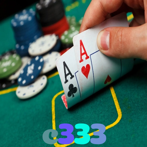 c333