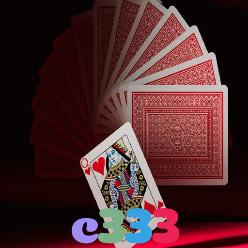 c333