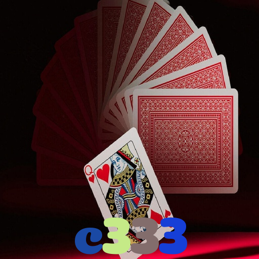 c333