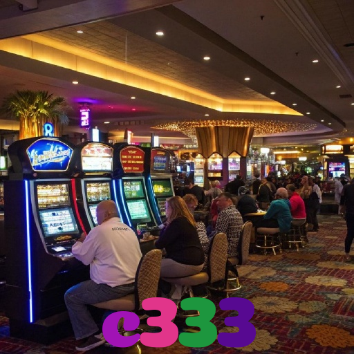c333