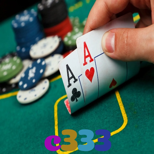 c333