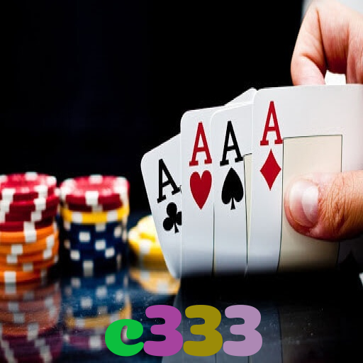 c333